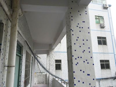 康园小学